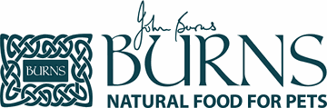 Burns