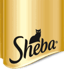 SHEBA
